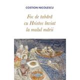 Foc de tabara - Costion Nicolescu, editura Sophia