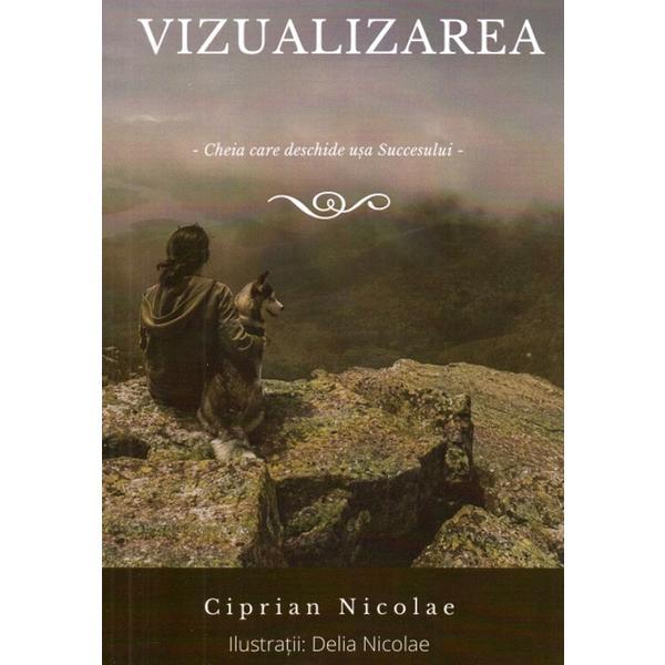 Vzualizarea - ciprian nicolae