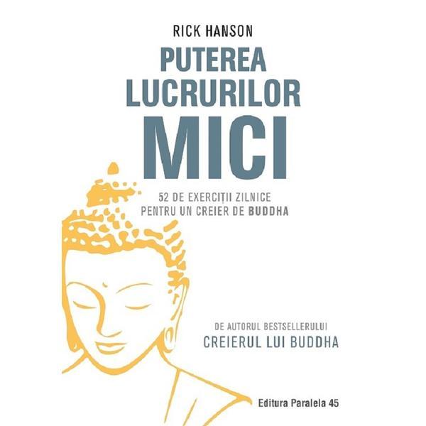 Puterea lucrurilor mici - Rick Hanson, editura Paralela 45