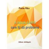 A doua carte care îti da probleme - autor Petre Rau, editura InfoRapArt 