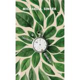 In cautarea adevarului - Michael A. Singer, editura Curtea Veche