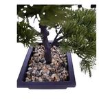 bonsai-pin-decorativ-artificial-in-ghiveci-verde-inchis-5-ramuri-34-cm-5.jpg