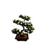 bonsai-decorativ-artificial-in-ghiveci-cu-flori-albe-40-cm-6-ramuri-2.jpg