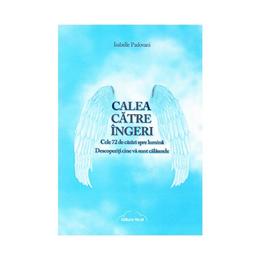 Calea catre ingeri - Isabelle Padovani, editura Nicol