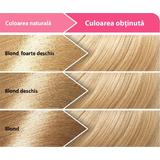 vopsea-permanenta-pentru-par-loncolor-ultra-nuanta-10-1-blond-cenusiu-1628584278251-1.jpg