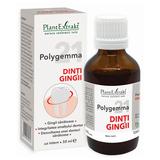 Polygemma Nr 21 Dinti-Gingii Plantextrakt, 50 ml
