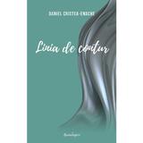Linia de contur Vol.1 - Daniel Cristea-Enache, editura Spandugino