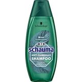 Sampon Antimatreata pentru Barbati cu Menta si Lemongrass - Schwarzkopf Schauma Men Anti Dandruff Shampoo with Mint+ Lemongrass, 400 ml