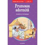 Frumoasa adormita. Poveste cu pictograme, editura Litera