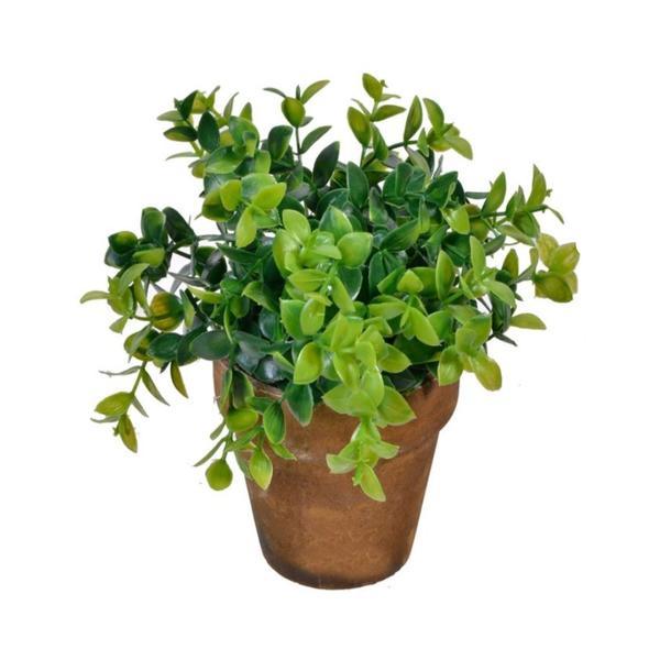 Bonsai decorativ cu frunze late in ghiveci ceramic, verde, 15 cm