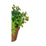 bonsai-decorativ-cu-frunze-late-in-ghiveci-ceramic-verde-15-cm-3.jpg