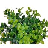 bonsai-decorativ-cu-frunze-late-in-ghiveci-ceramic-verde-15-cm-5.jpg