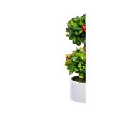 bonsai-decorativ-cu-flori-rosii-tip-copac-in-ghiveci-ceramic-multicolor-20-cm-3.jpg