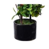 bonsai-decorativ-cu-flori-rosii-tip-copac-in-ghiveci-ceramic-negru-verde-20-cm-5.jpg