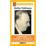 Comentarii la Poemele Filocalice scrise de Alexandru Mironescu- Stefan Todirascu, editura Eikon