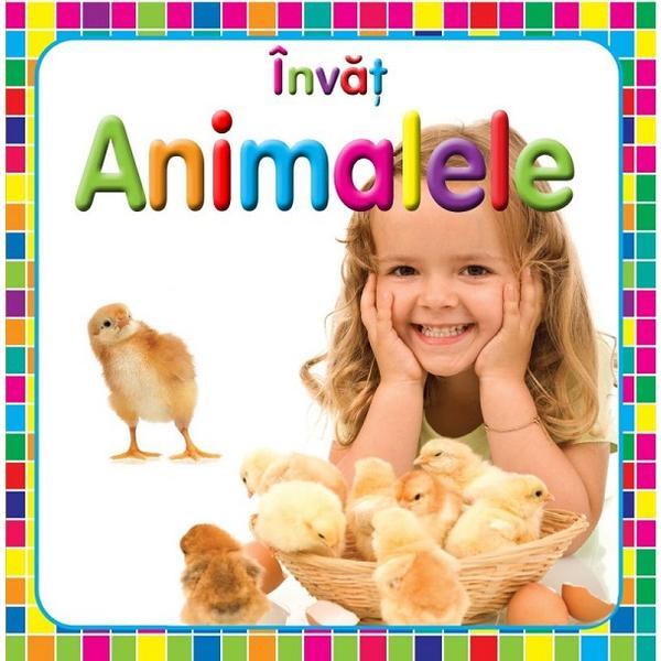 Invat animalele, editura flamingo