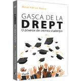 Gasca de la drept - Mihai Adrian Hotca, editura Universul Juridic