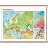 Statele Europei Cartographia 1:14 000 000, editura Cartographia