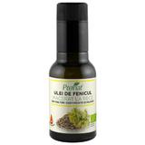 Ulei BIO de fenicul macerat la rece, 100 ml