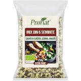 Mix bio din 6 seminte pentru salate, paine, musli Pronat, 250g