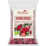 Afine rosii bio indulcite cu zahar din trestie Pronat, 200g