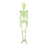 Decoratiune suspendabila pentru petrecere de Halloween, schelet uman fosforescent, lumineaza in intuneric, 1.5 m