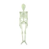 Decoratiune suspendabila pentru petrecere de Halloween, schelet uman fosforescent, lumineaza in intuneric, 90 cm, Topi Toy
