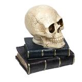 decoratiune-craniu-de-mort-pentru-petrecere-de-halloween-figurina-cap-de-schelet-uman-18-cm-alb-murdar-cu-negru-topi-toy-2.jpg