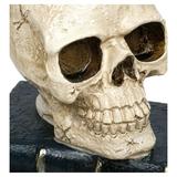 decoratiune-craniu-de-mort-pentru-petrecere-de-halloween-figurina-cap-de-schelet-uman-18-cm-alb-murdar-cu-negru-topi-toy-3.jpg
