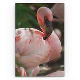 tablou-canvas-animale-flamingo-80-x-50-cm-2.jpg