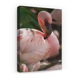 tablou-canvas-animale-flamingo-60-x-40-cm-3.jpg