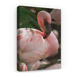 tablou-canvas-animale-flamingo-60-x-40-cm-4.jpg
