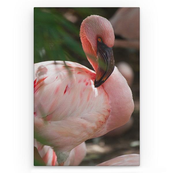 Tablou canvas animale - flamingo, 60 x 40 cm