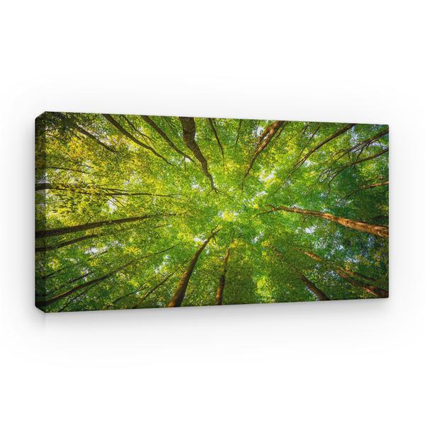 Tablou canvas natura - privire printre copaci, 80 x 50 cm