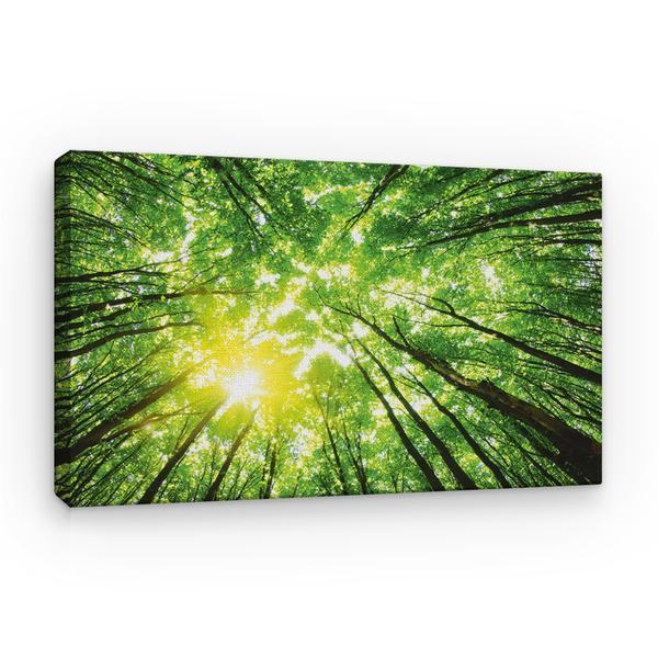 Tablou canvas natura - sclipiri printre copaci, 80 x 50 cm