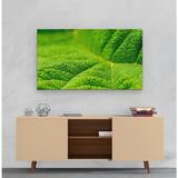 tablou-canvas-natura-frunza-verde-macro-60-x-40-cm-4.jpg