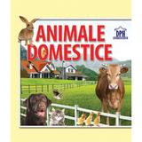 Animale domestice - Carte pliata Editura Didactica Publishing House