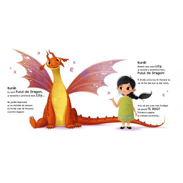 Carte de copii, Cum sa-ti inveti dragonul sa spuna: Te rog, Didactica Publishing House