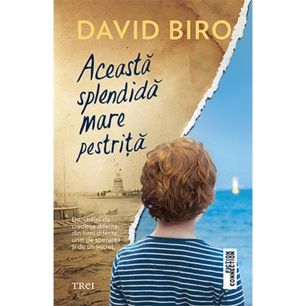 Aceasta splendida mare pestrita - David Biro, editura Trei