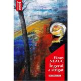 Ingerul a strigat - Fanus Neagu, editura Hoffman