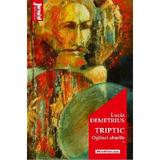 Triptic Vol.1: Oglinzi aburite - Lucia Demetrius, editura Hoffman