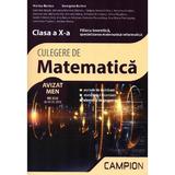 Culegere matematica cls 10 mate-info - Marius Burtea, Georgeta