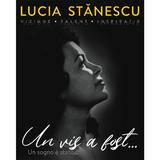 Un vis a fost... - Lucia Stanescu. Viziune, Telent, Inspiratie