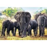 puzzle-trefl-1000-elefanti-africani-2.jpg