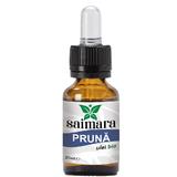 Ulei din Samburi de Prune Bio Saimara, 30 ml