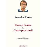 Roua si bruma. cauze provizorii - Romulus Rusan