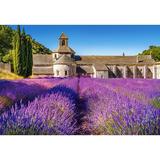 puzzle-1000-lavender-field-in-provence-france-2.jpg