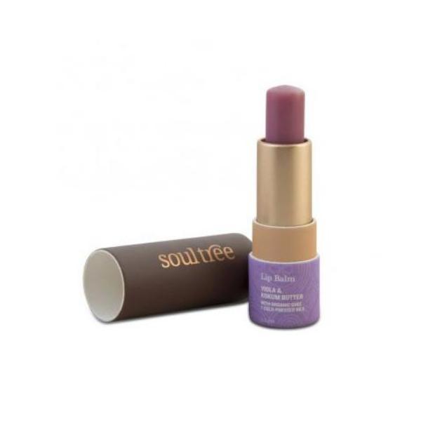 Balsam buze cu violete si unt de kokum - soultree, 3.5g