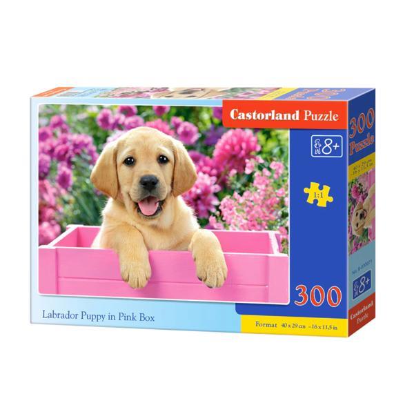 Puzzle 300 castorland - labrador puppy in pink box