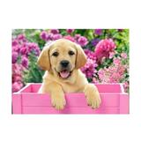 puzzle-300-castorland-labrador-puppy-in-pink-box-2.jpg